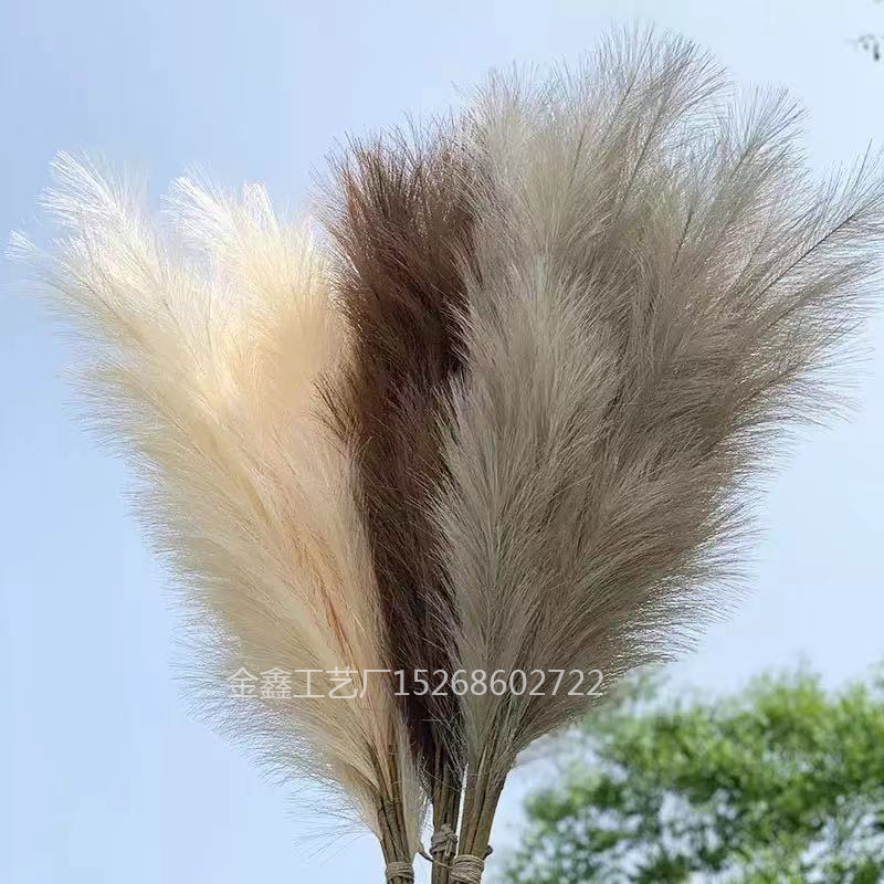 亚马逊跨境仿真芦苇网红植物落地盆栽商场橱窗装饰家居客厅摆件