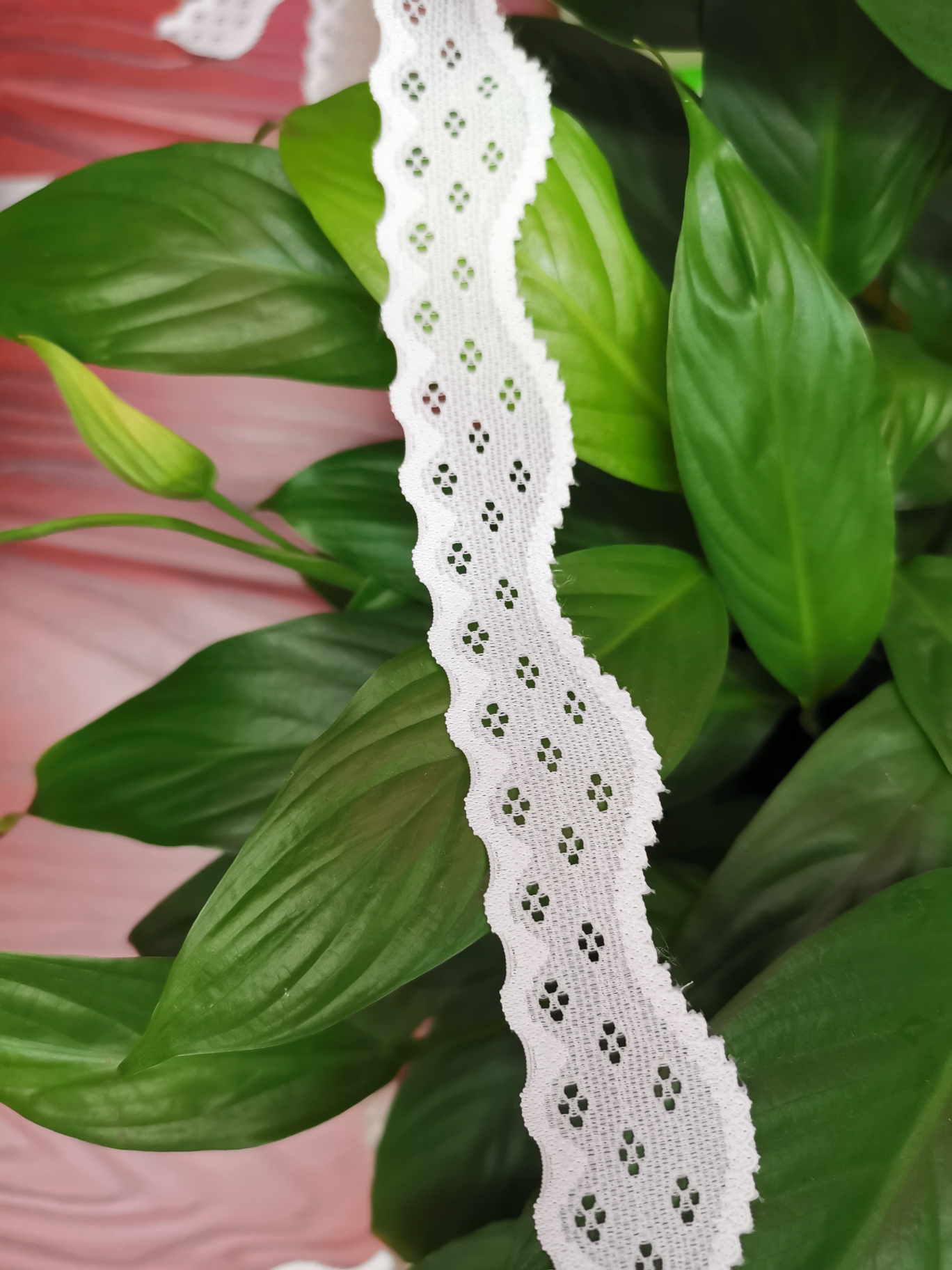 Clothing accessories Lace Lace Elastic lace neckline lace diy accessories