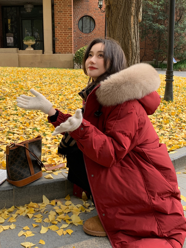 The new mid-length, fashionable, large-collar, loose and thickened white duck down warm jacket for women in winter 2021 is trendy Application Scenario