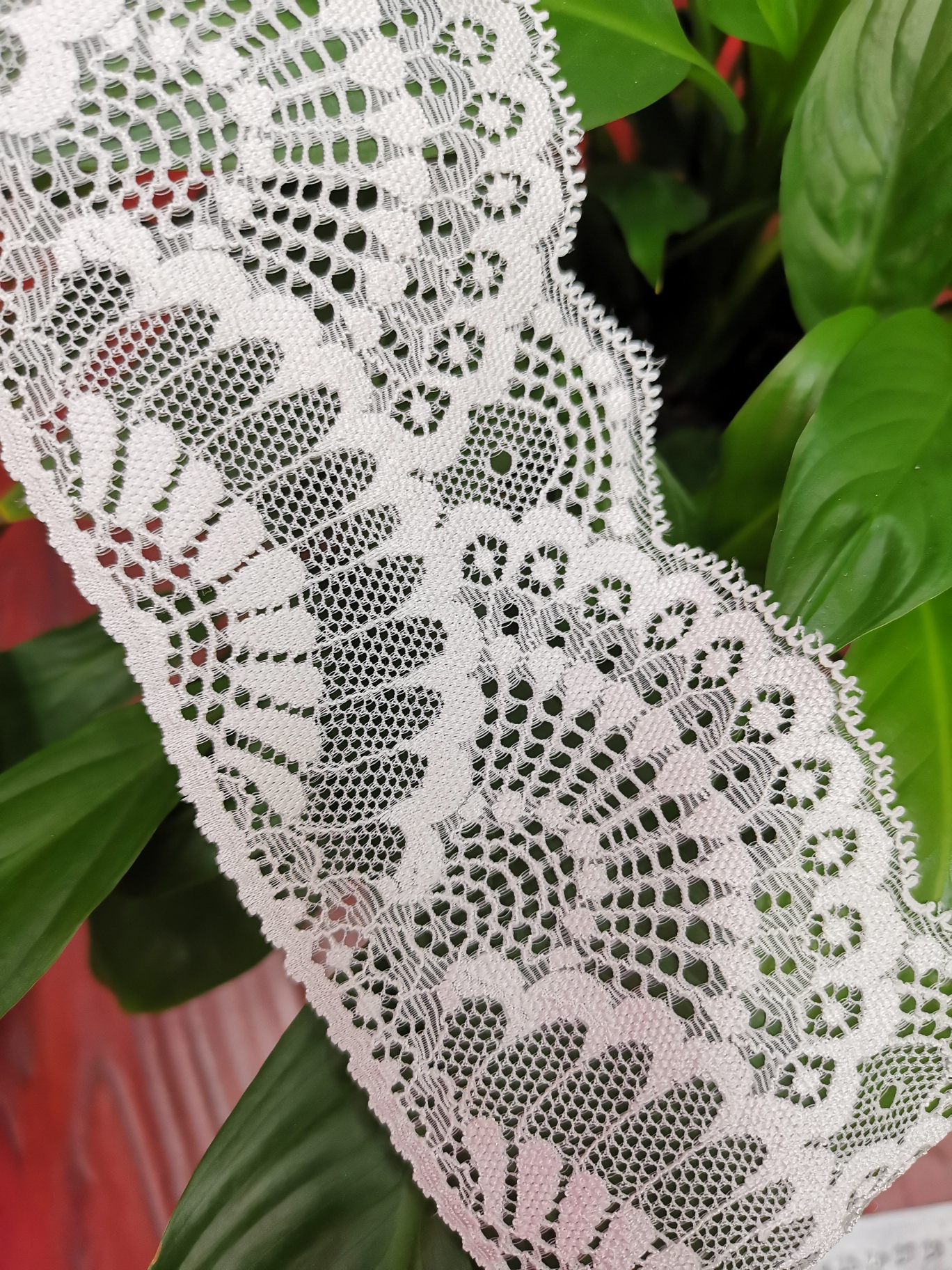 New cuff lace lace underwear lace lace accessories lace lace lace clothing accessories