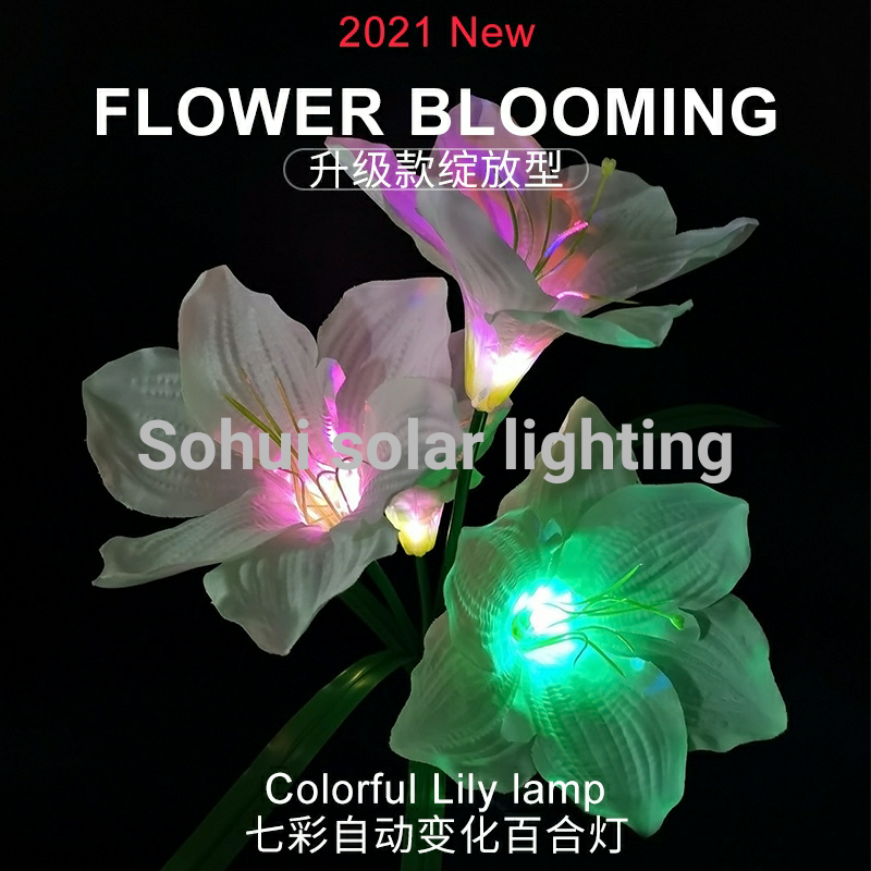 太阳能灯 /太阳能庭院灯/太阳能草坪灯产品图