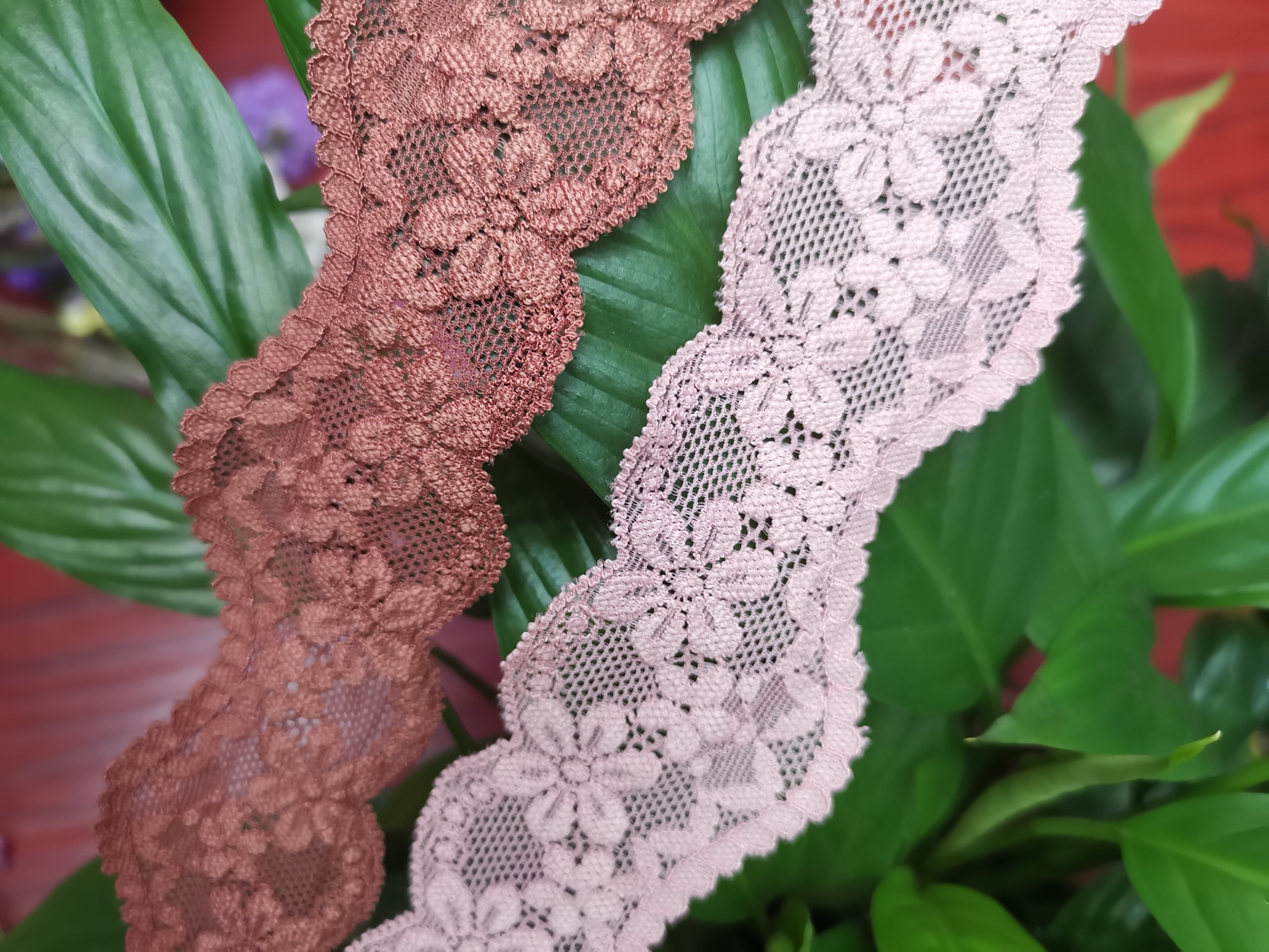 New lace cuff lace neckline lace lace lingerie lace lace garment accessories