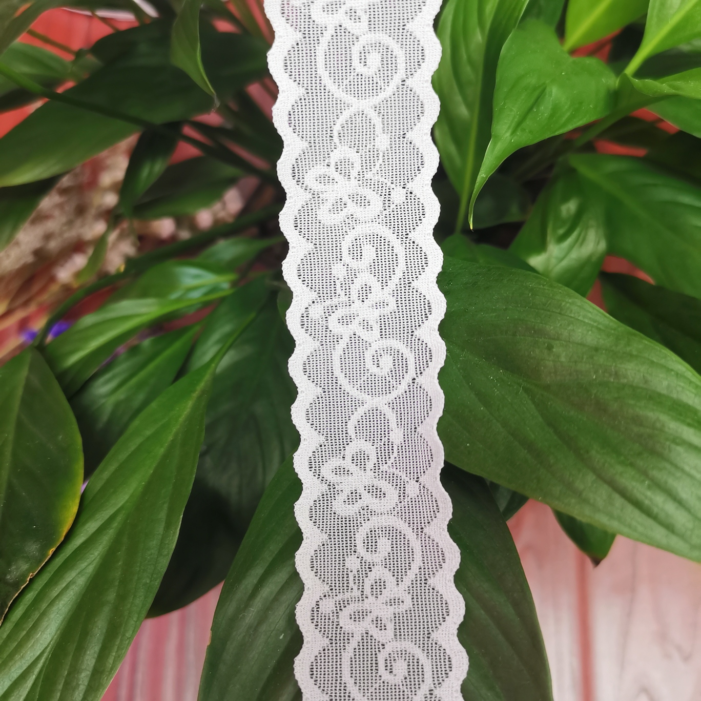 New Fast Bra Lingerie Lace lace base shirt neckline lace lace child socks lace lace lace thumbnail