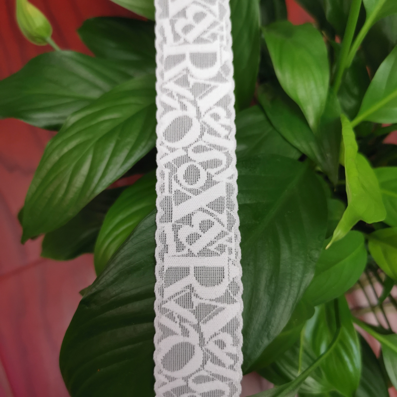 New lace lace for children's socks