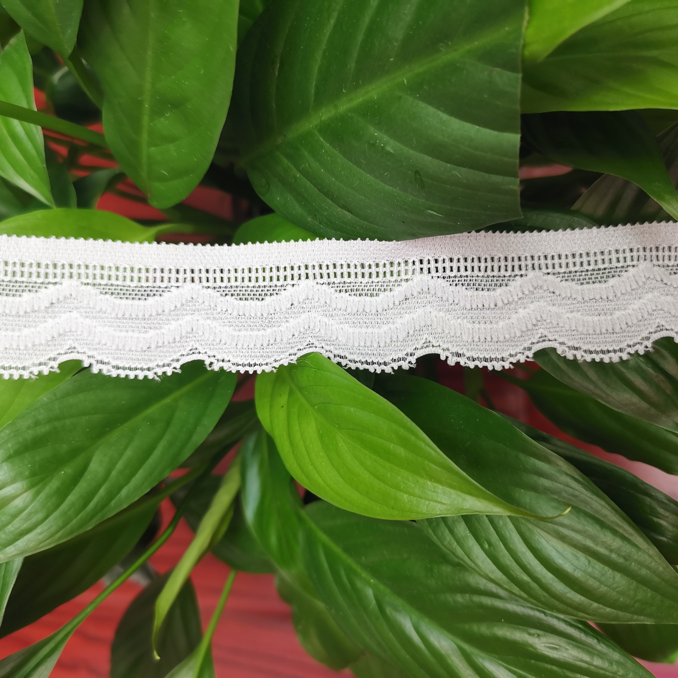 New bra Lingerie lace lace neckline lace lace socks lace lace