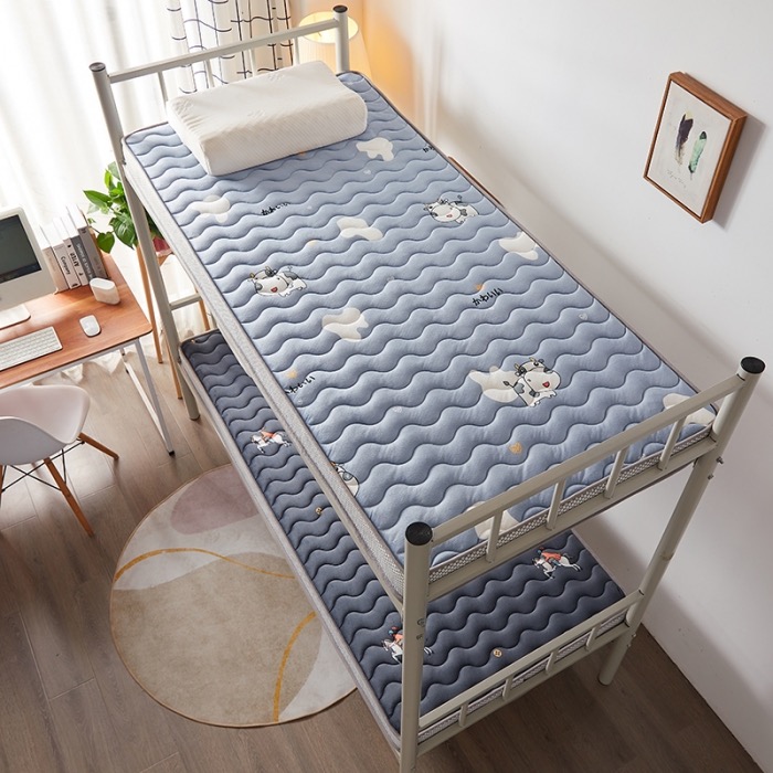 New student model, winter and summer dual-purpose latex aerobic cotton mattress, dormitory mattress, tatami mattress details Picture