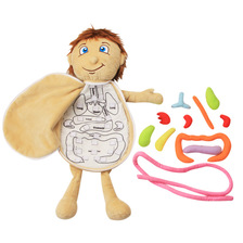 儿童布制身体结构拼图娃娃 男女孩人体器官结构认知早教科教玩具