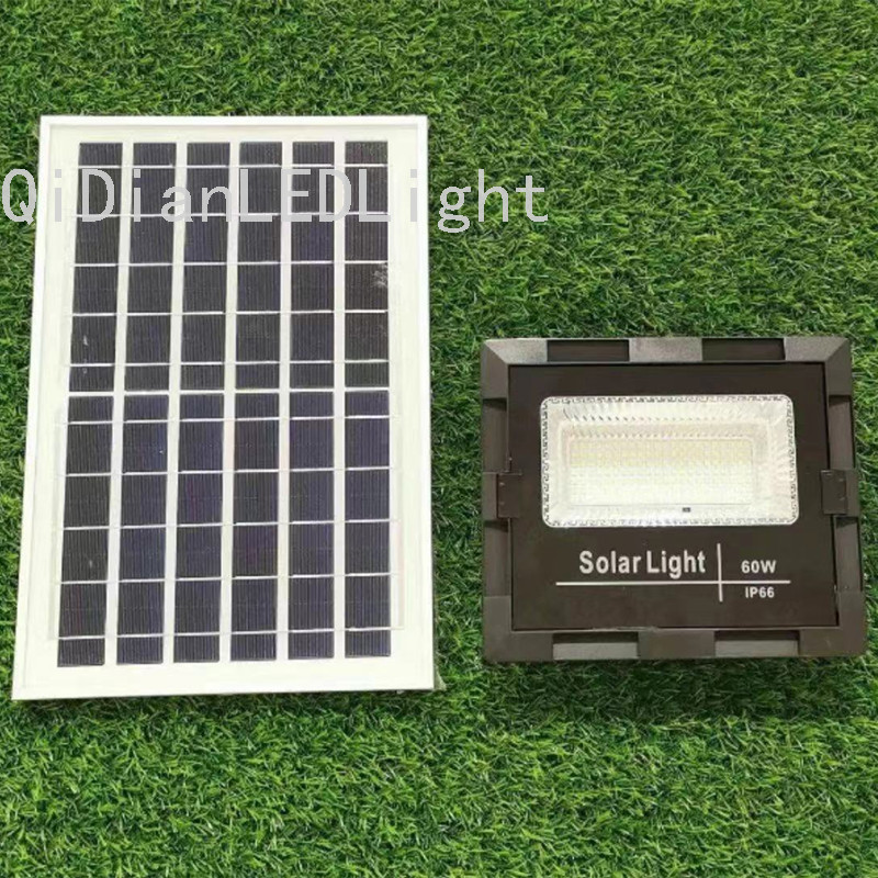 其他分类实物图