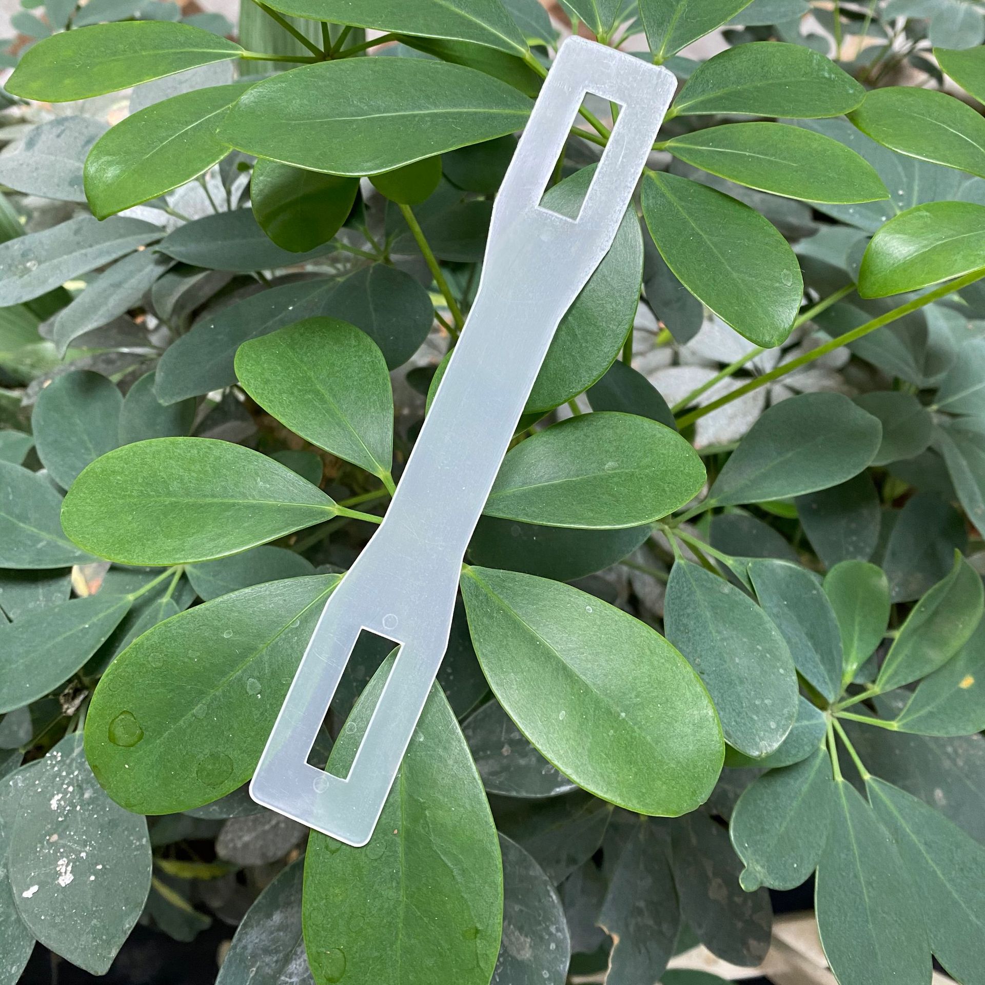 Plastic gift box, hand-held plastic color box, handle, plastic handle buckle, handle with carton packaging, hand-held handle buckle in stock details Picture