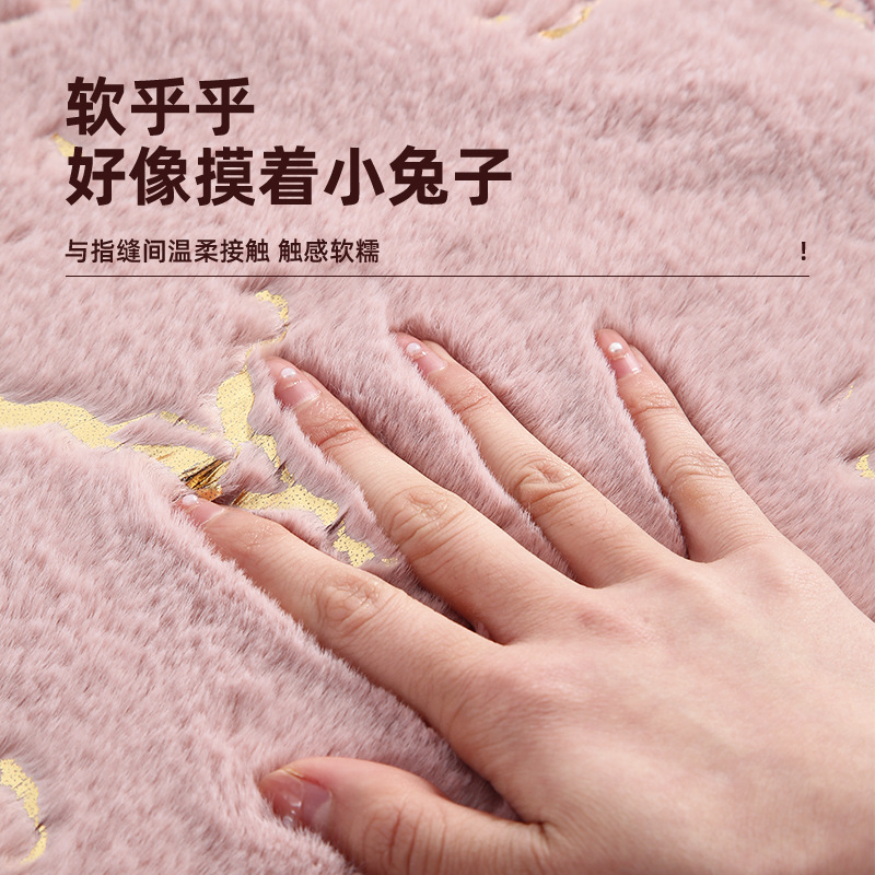 Gold-embossed rabbit fleece carpet floor MATS, cross-border Amazon room bedroom floor MATS, living room MATS, bathroom anti-slip MATS details Picture