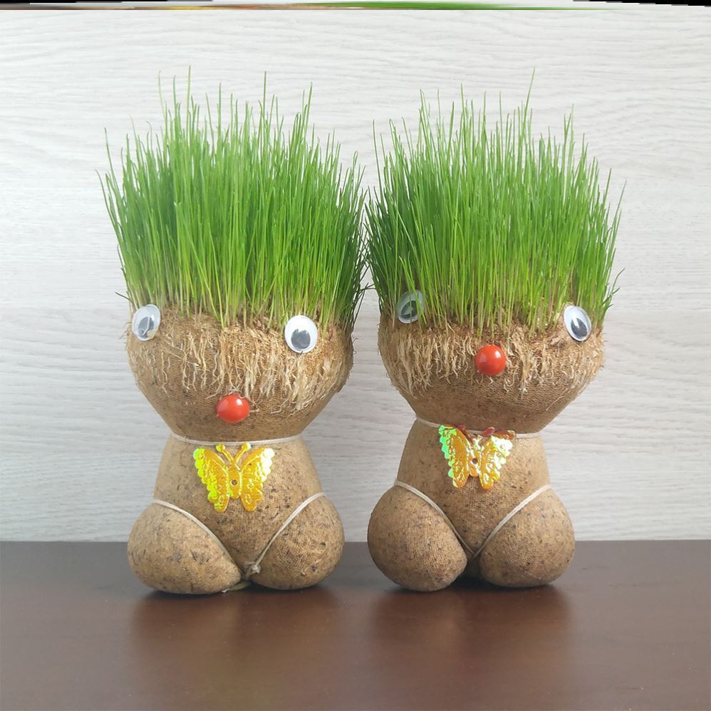 Plant long grass, cultivate large-eyed cute kids with big flat heads, medium-sized grass dolls, creative plant farm potted grass heads full figure