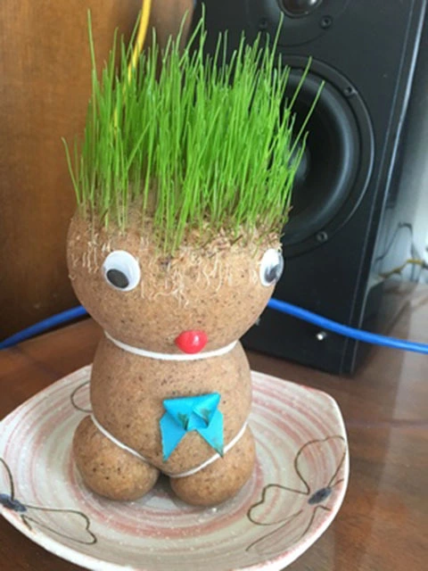 Plant long grass, cultivate large-eyed cute kids with big flat heads, medium-sized grass dolls, creative plant farm potted grass heads Specification drawing