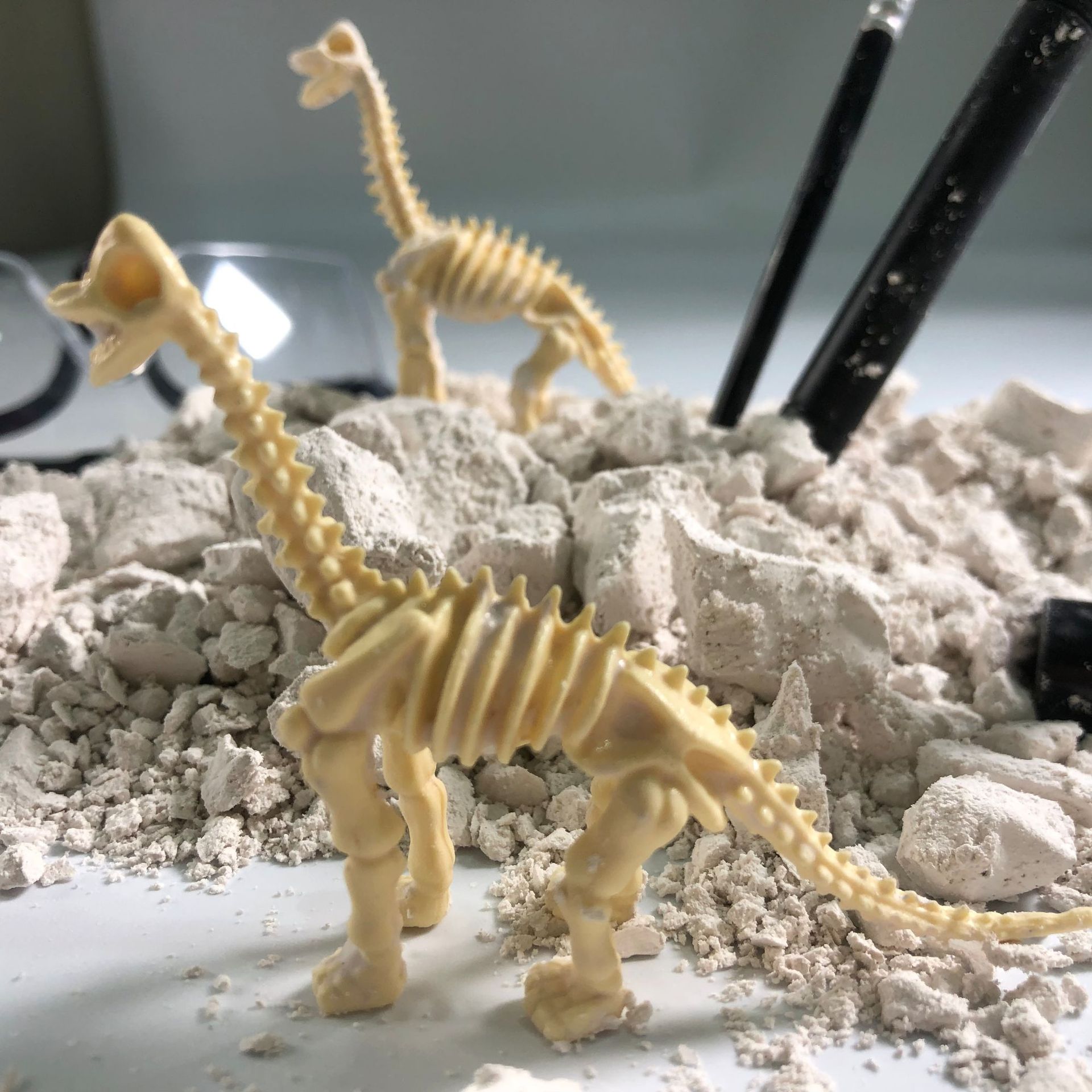 Children's archaeological excavation, toy dinosaur fossil assembly, skeleton dinosaur model DIY, handcrafted toy gifts Application Scenario