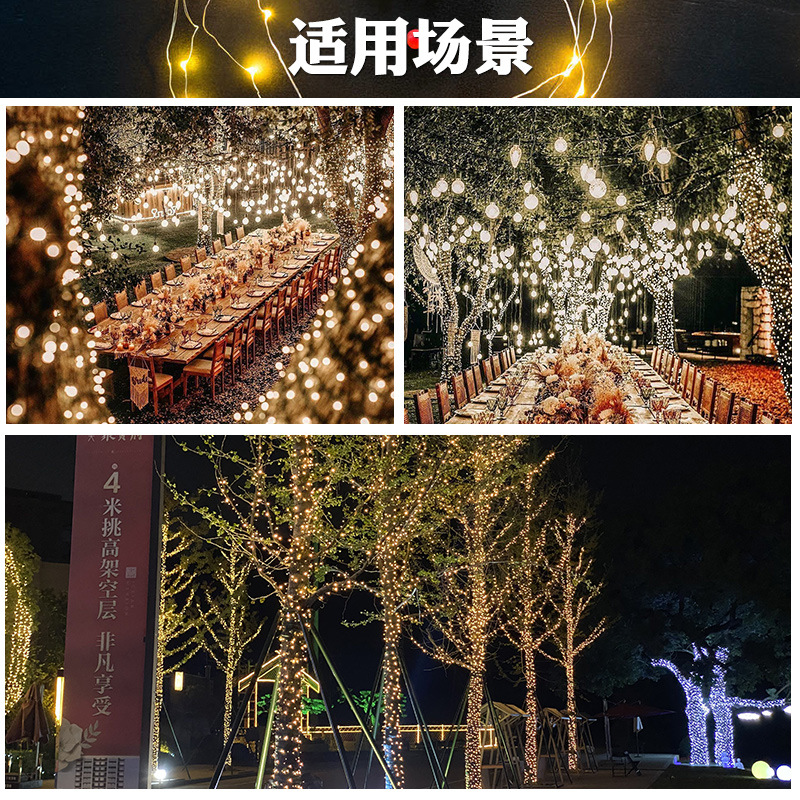 LED装饰灯实物图
