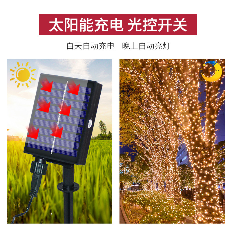 装饰工艺/圣诞灯/装饰灯产品图