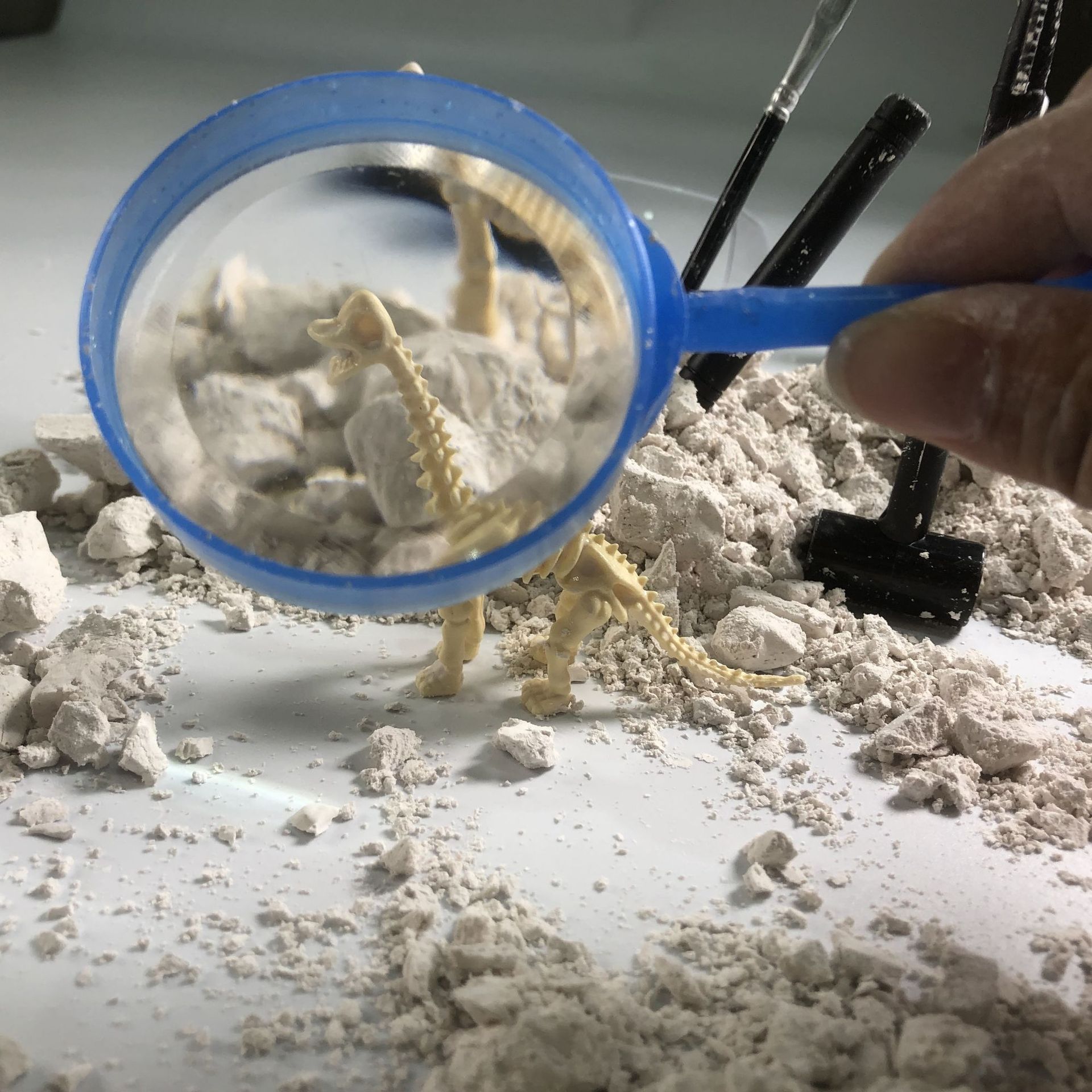 Children's archaeological excavation, toy dinosaur fossil assembly, skeleton dinosaur model DIY, handcrafted toy gifts details Picture