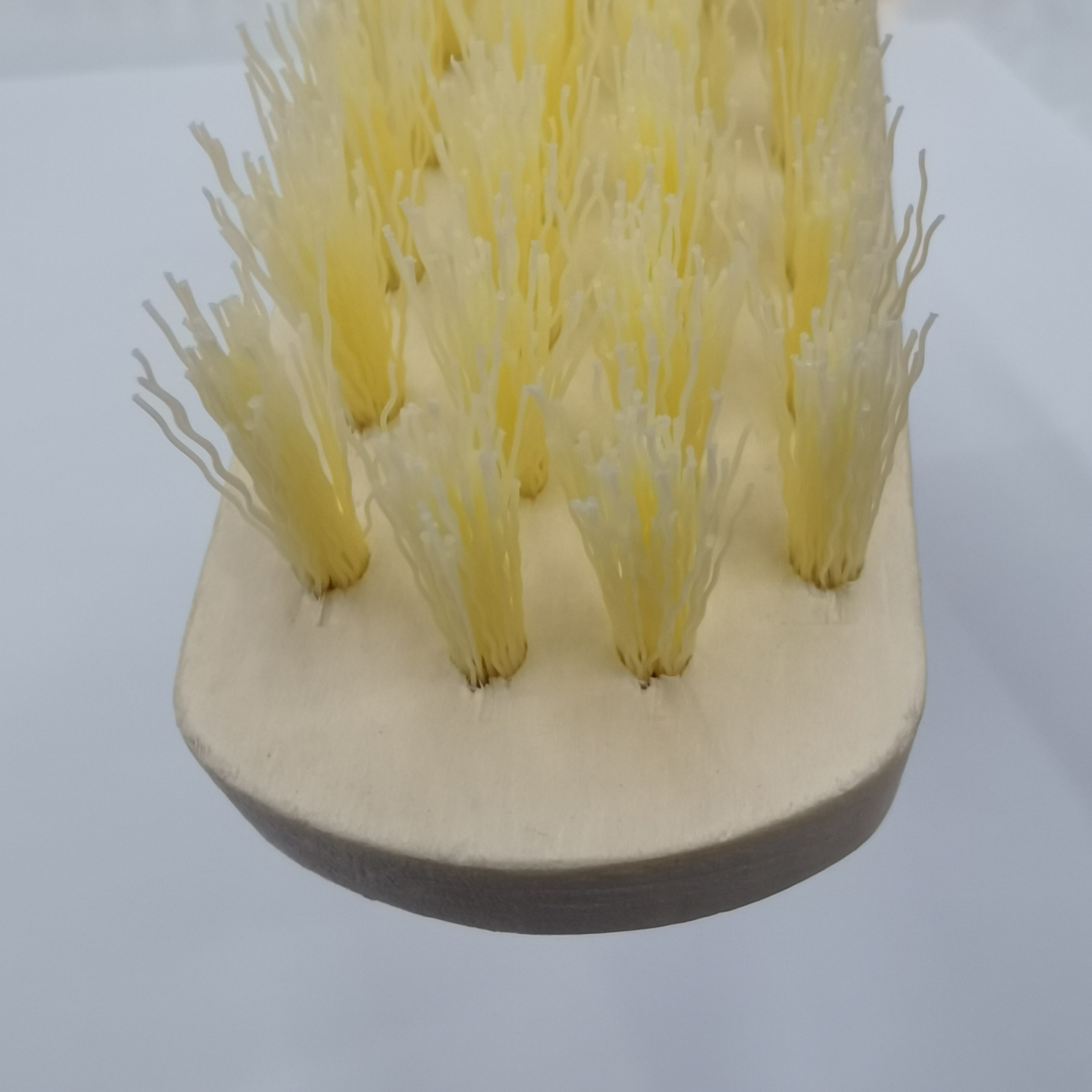 小家电细节图