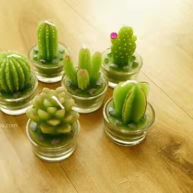 Green plant candle cactus prickly pear candle modelling succulent plant modelling decoration craft candle