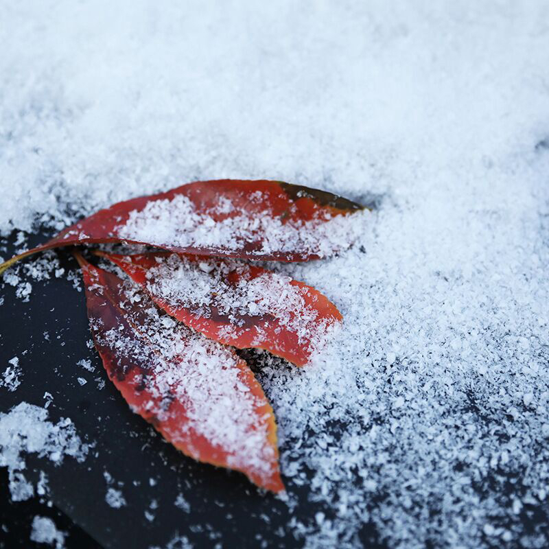 玩具白底实物图