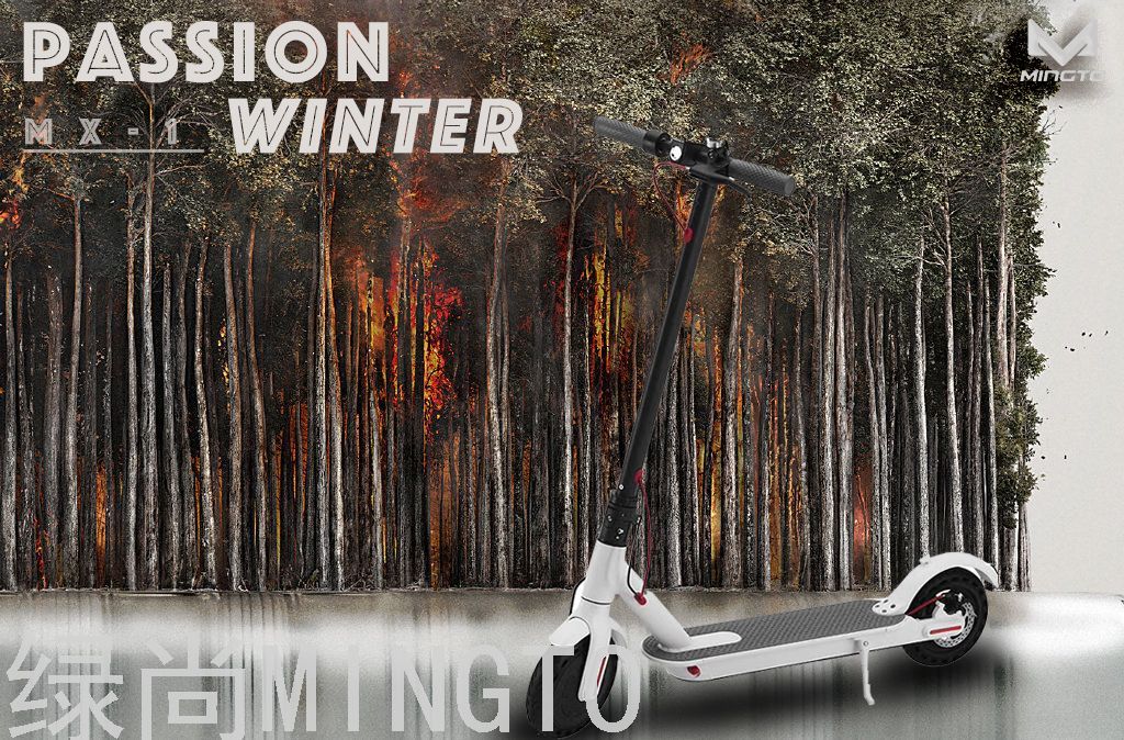 电动滑板车/滑板车/代步车细节图