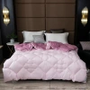 2021 New warm two-tone single and two-person faux down quilt for autumn and winter Item Picture