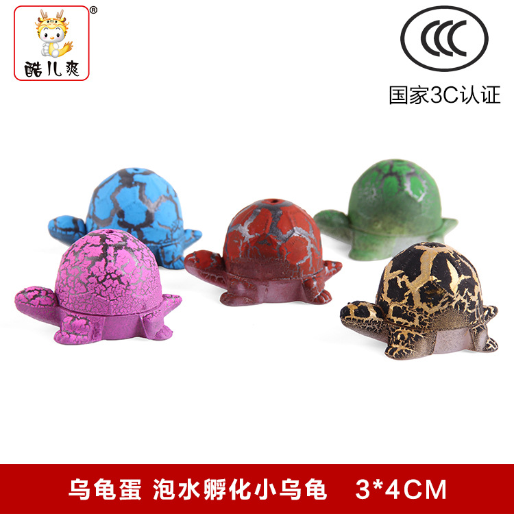 酷儿爽可定制学校地摊玩具能孵小乌龟泡大膨胀海龟蛋益智早教玩具