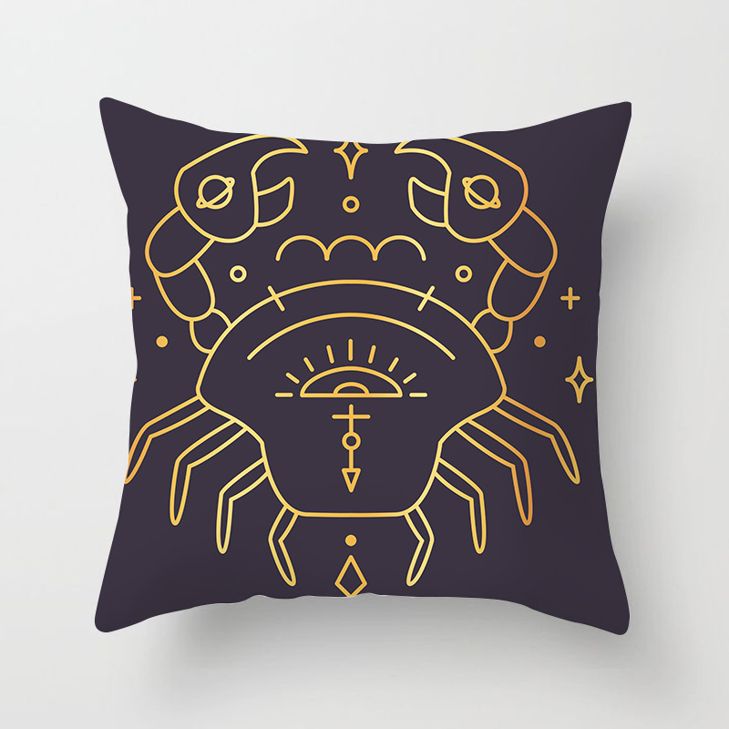 Constellation pillow and cushion cover home products pillowcase Application Scenario