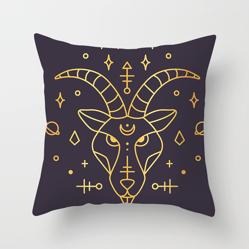 Constellation pillow and cushion cover home products pillowcase Item Picture