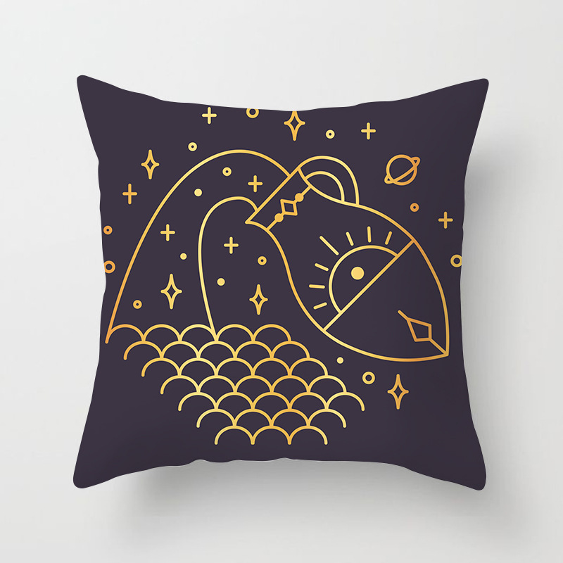 Constellation pillow and cushion cover home products pillowcase details Picture