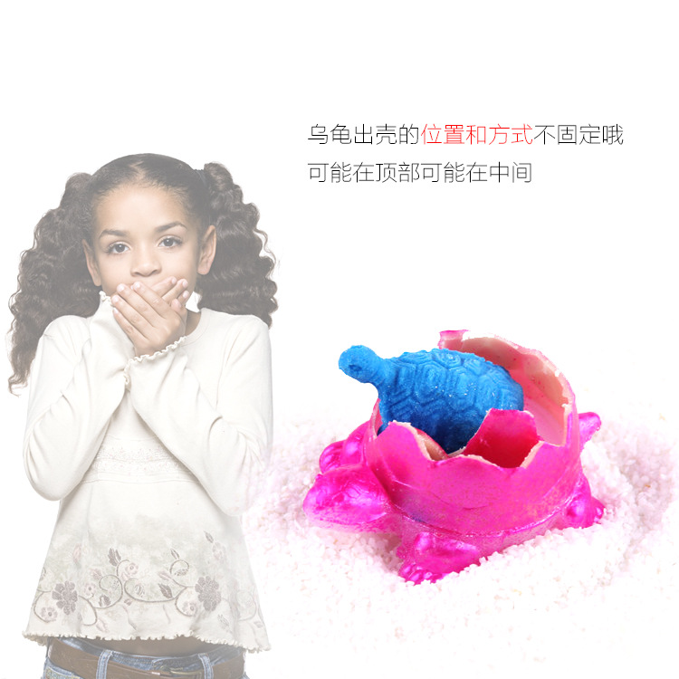玩具/儿童玩具/乌龟玩具细节图