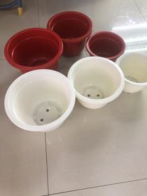 Wholesale supply of plastic flower POTS 320*190 flower POTS