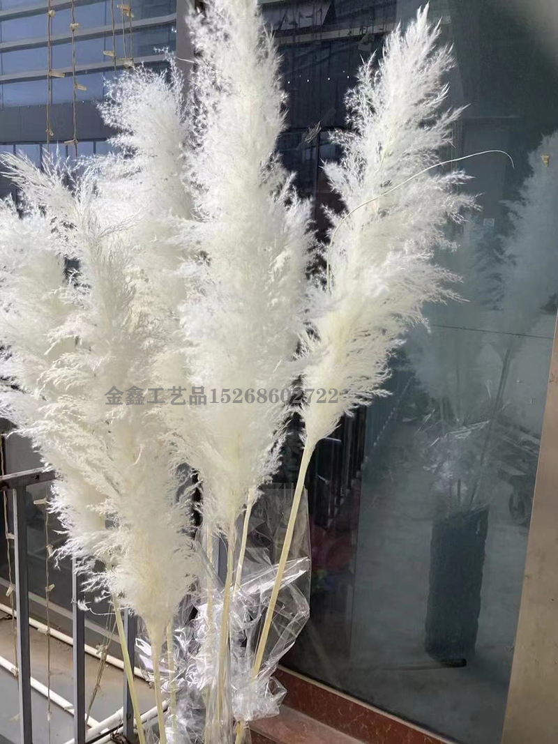 客厅落地摆件实物图