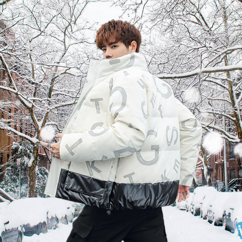 New winter down jacket for men, stand-up collar workwear, short white duck down, warm and thick casual down jacket for men details Picture
