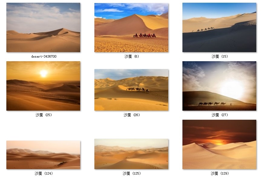 现代简约风景摄影寂静沙漠骆驼北欧风客厅玄关装饰画高清喷绘打印详情图3