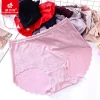 Butterfly Finting Ice Silk Mid-waist Underwear for women, summer thin rose wavy large size triangle shorts for women details Picture