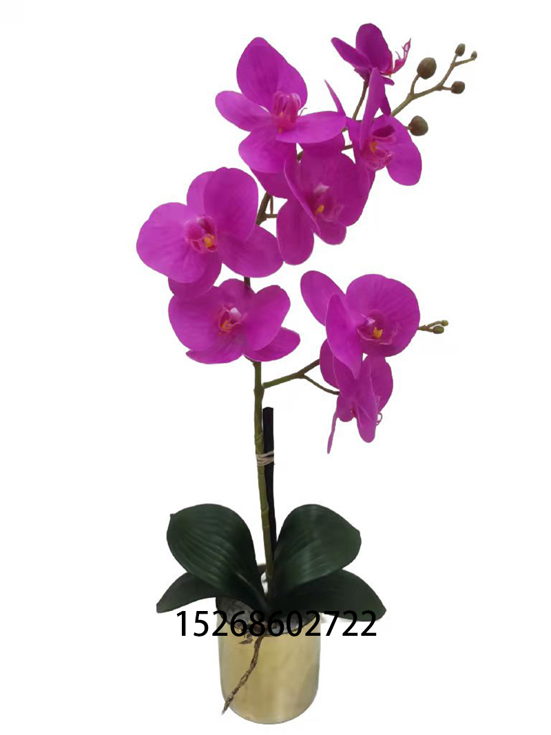蝴蝶兰盆景陶瓷盆栽兰花玉兰花百合花客厅电视柜家居摆件婚庆花