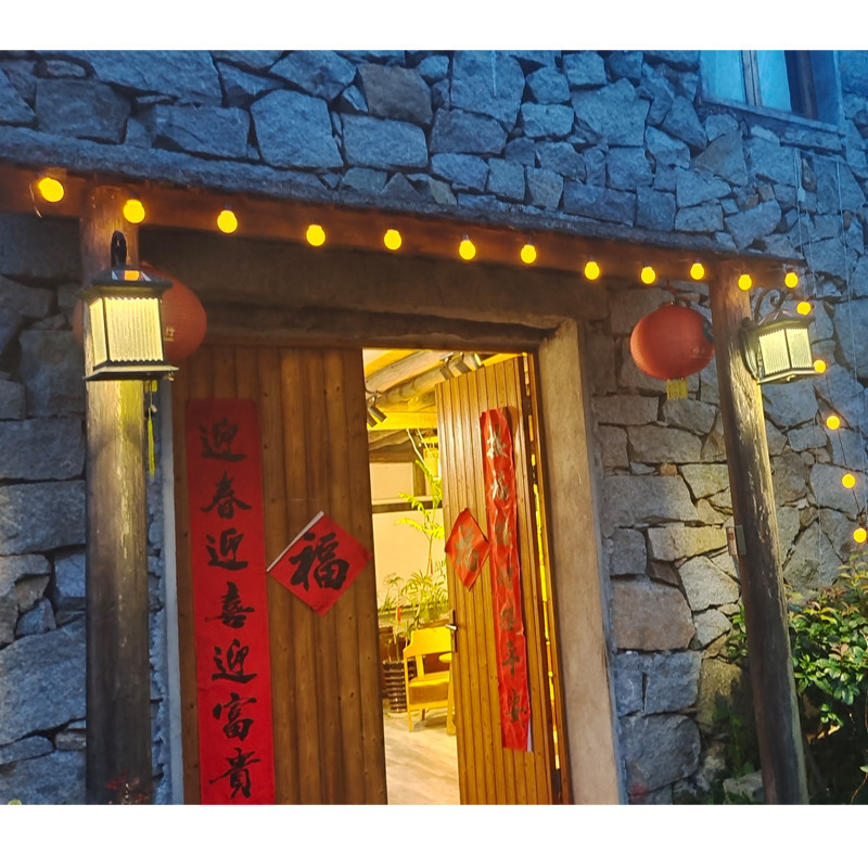 装饰工艺/圣诞灯/彩灯细节图