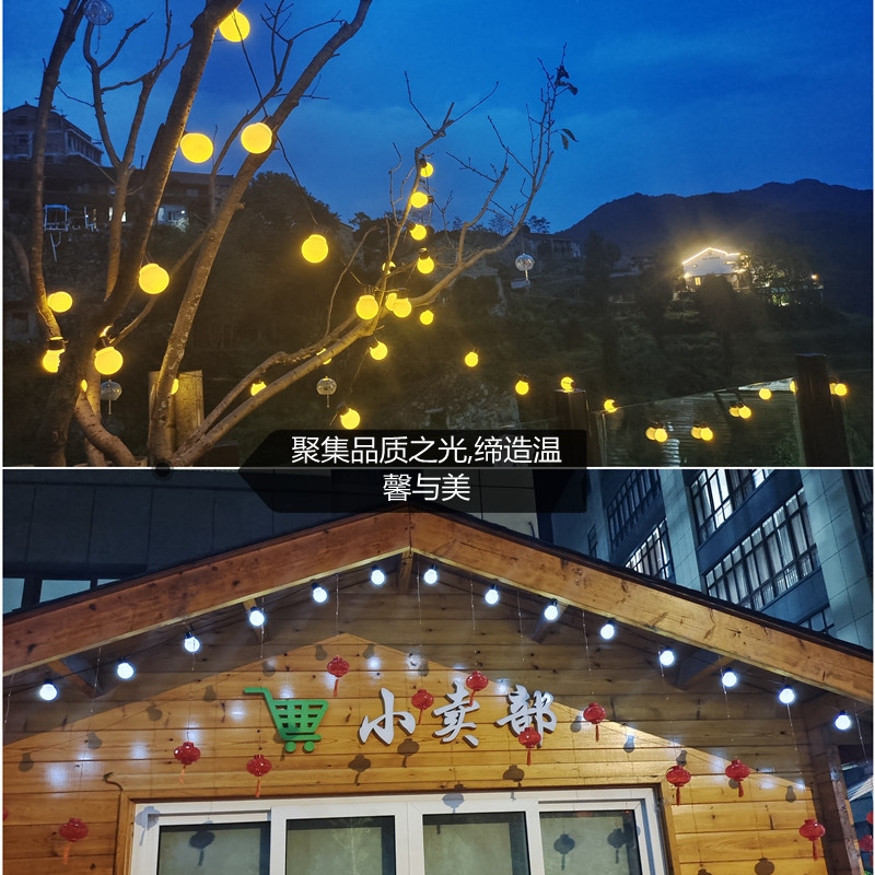 装饰工艺/圣诞灯/彩灯产品图