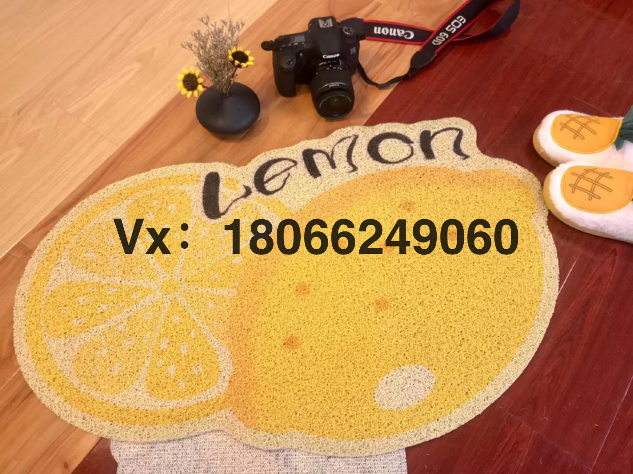 【义星地毯】厂家直销新款丝圈印花地毯地垫门垫脚垫卡通水果动物