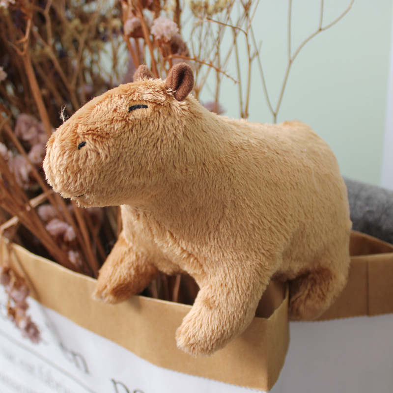 Cross-border new capybara plush toy capybara children's gift