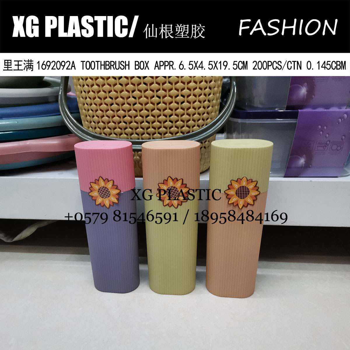 Dental case Travel portable plastic toothbrush case Fashion new toothbrush toothpaste storage case hot supermarket gifts