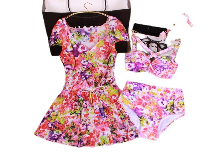 Women's three-piece swimsuit set, bikini, small bust, sexy, slimming blouse, skirt-style belly covering, new beach swimsuit Item Picture
