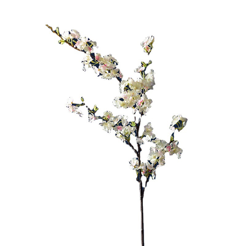 牛仔白底实物图