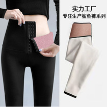 Belted and breasted Barbie pants for women autumn/winter close-in sharkskin leggings for women to wear nine minutes of tight shark pants spring style