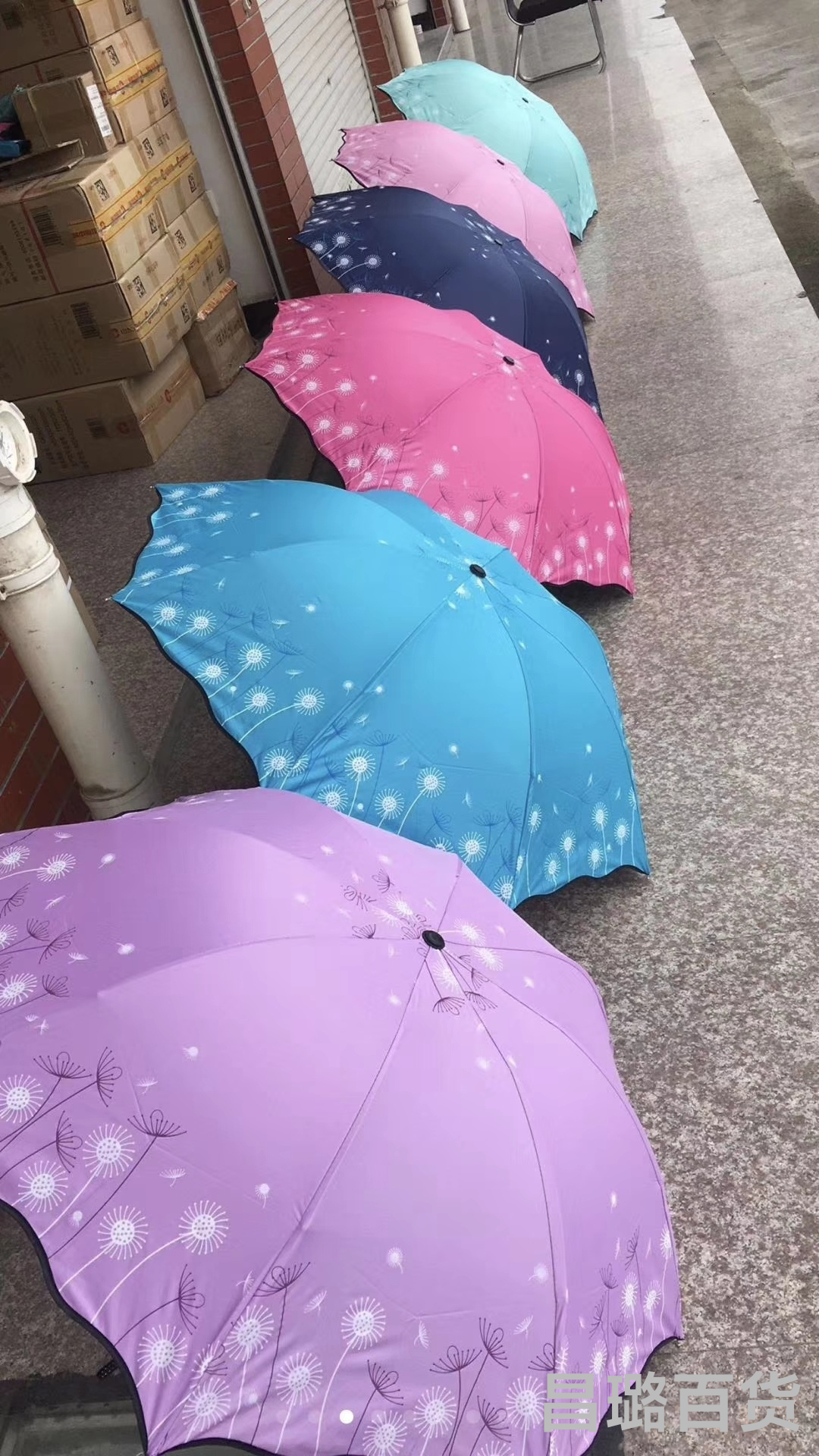 太阳伞晴雨伞/雨伞批发/折叠伞产品图