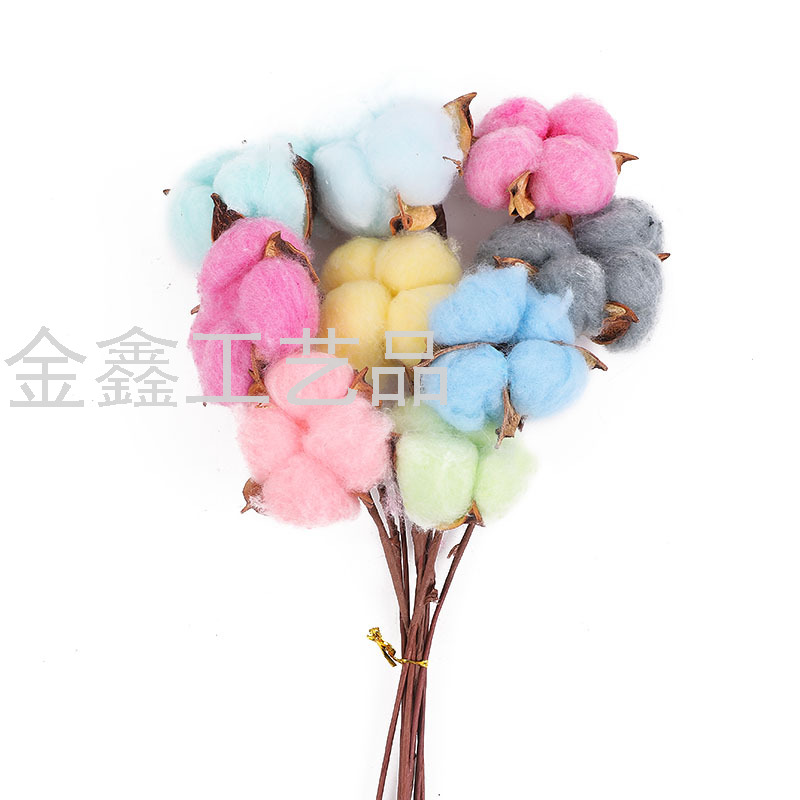 彩色棉花干花礼品花束diy材料木棉花天然白棉花头