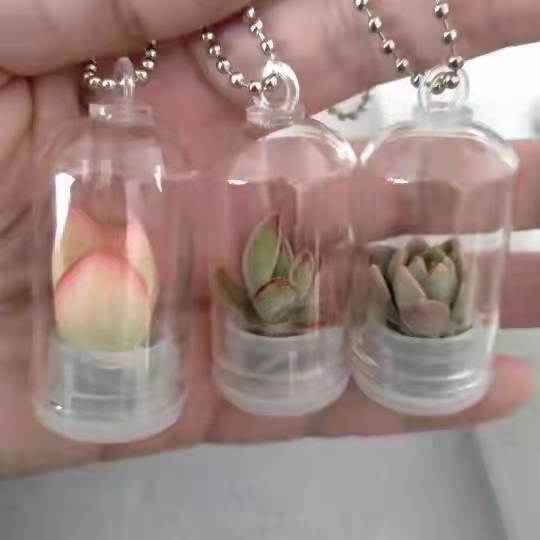 玩具细节图
