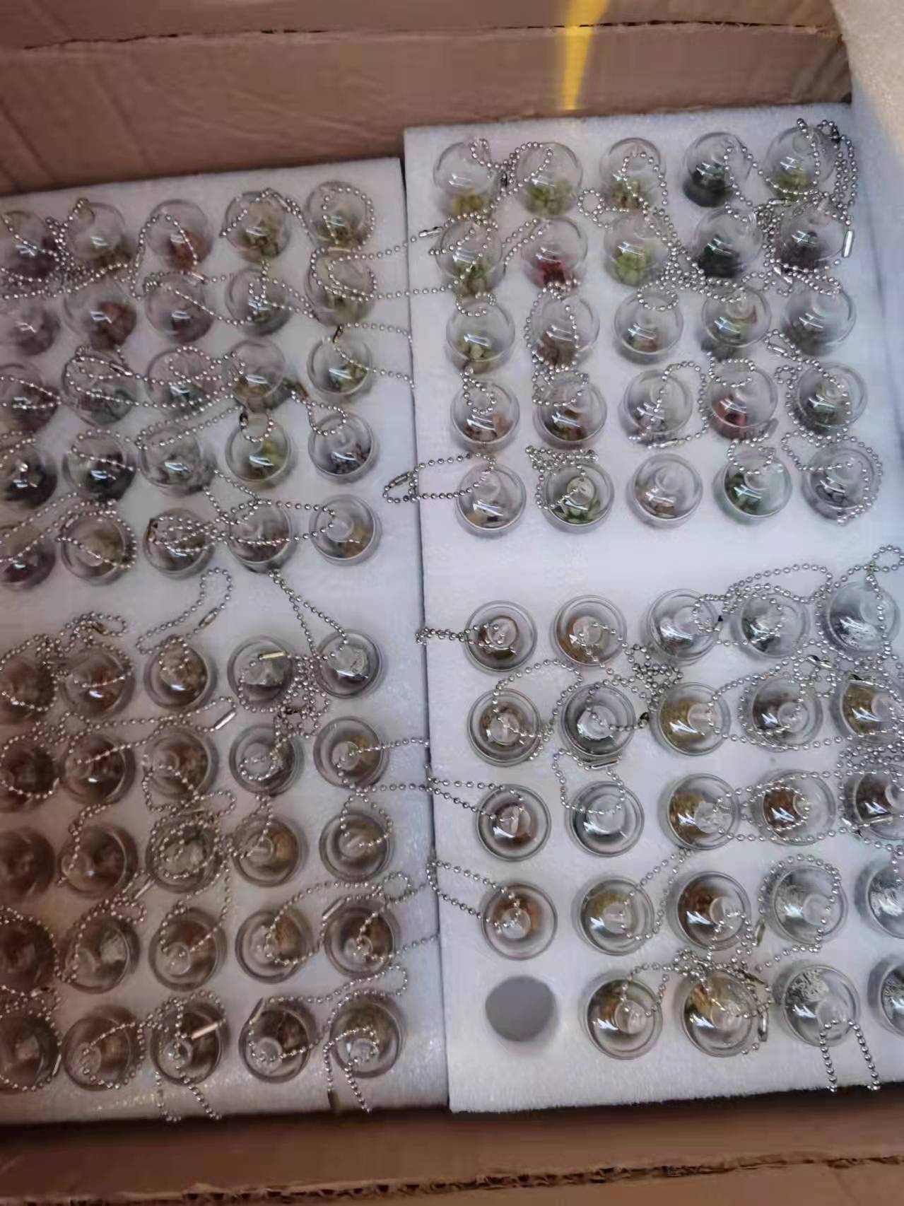 水培植物瓶、生态瓶实物图