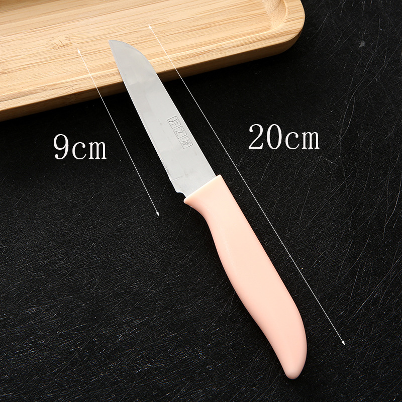 Well Dream B5102 Fruit Knife, Stainless Steel peeler knife with Lid, Fruit knife and Melon rind knife details Picture