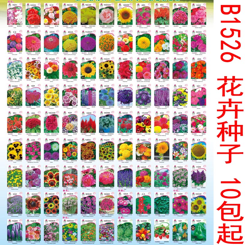 B1526 花卉种子 家庭阳台盆栽庭院易种植黄瓜辣椒西瓜籽孑大全图